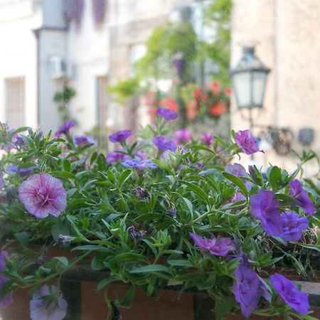 Bed and Breakfast Caminanti à Lecce Extérieur photo