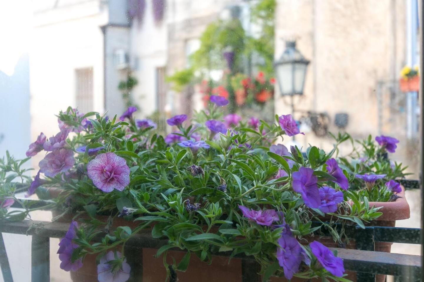 Bed and Breakfast Caminanti à Lecce Extérieur photo
